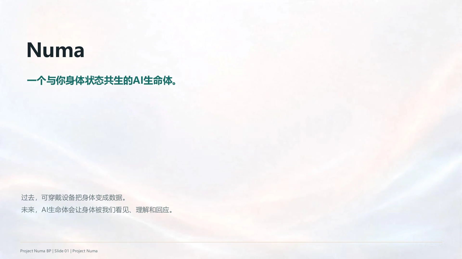Numa PowerPoint 页面