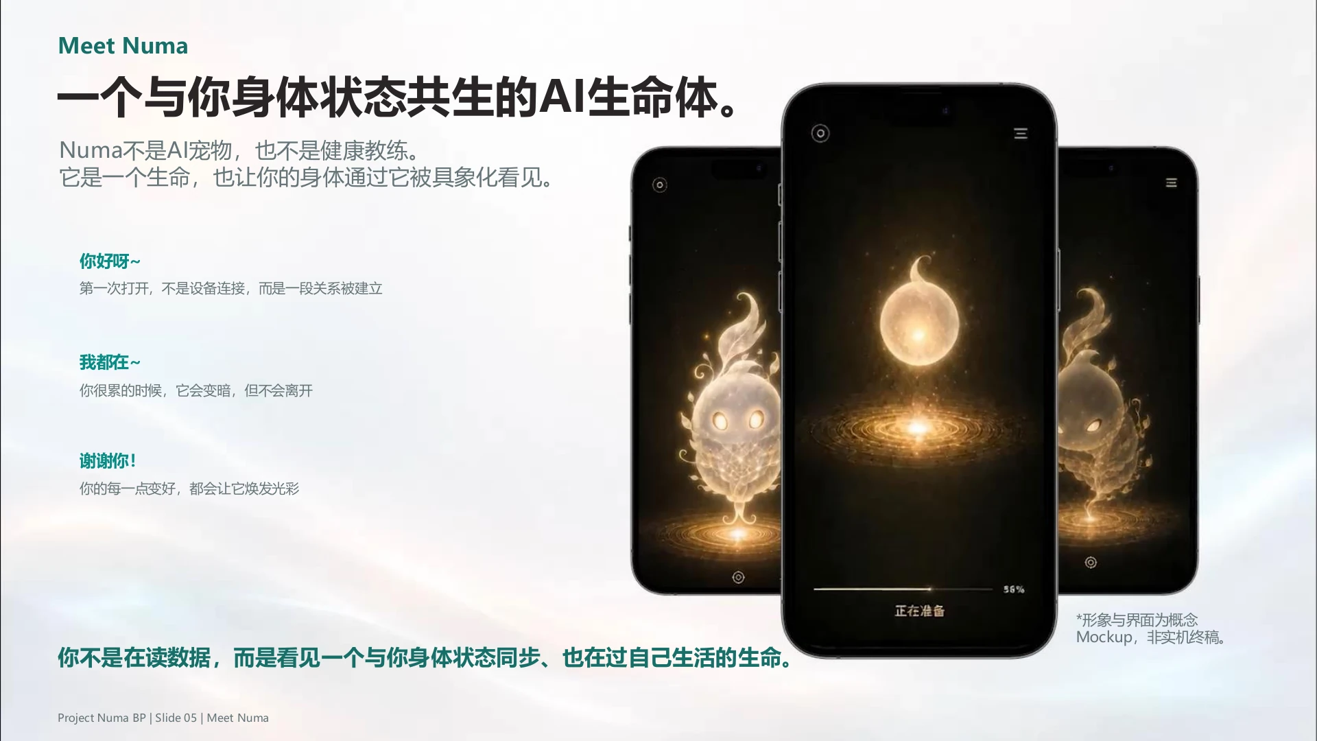Meet Numa PowerPoint 页面